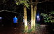 Blue Mountains Hiking Glow Worms Cave Wildlife Spotlighting Night Adventure - thumb 6