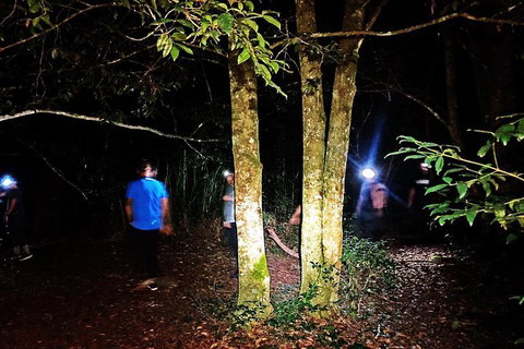 Blue Mountains Hiking Glow Worms Cave Wildlife Spotlighting Night Adventure - Tourism Brisbane 6