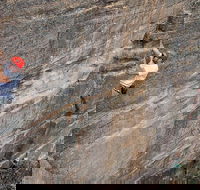Small-Group Full-Day Rock Climbing Adventure from Katoomba - Tourism Brisbane