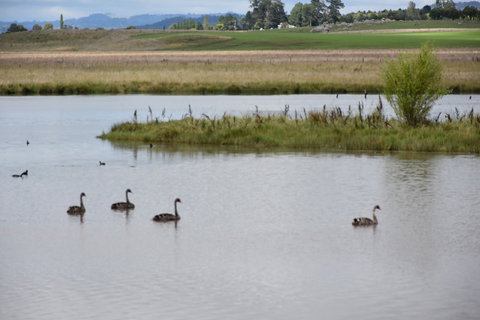 Beardy Waters Dam And Woodlands - Brisbane Tourism 0