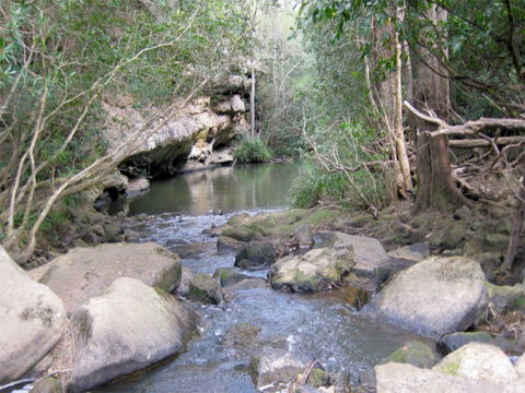 Bomaderry Creek Regional Park - Tourism Brisbane 0
