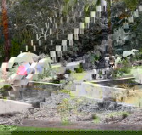 Maroochy Regional Bushland Botanic Garden - Brisbane 4u