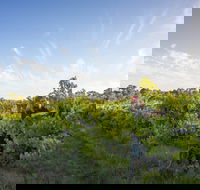 Mclaren Vale - Tourism Brisbane