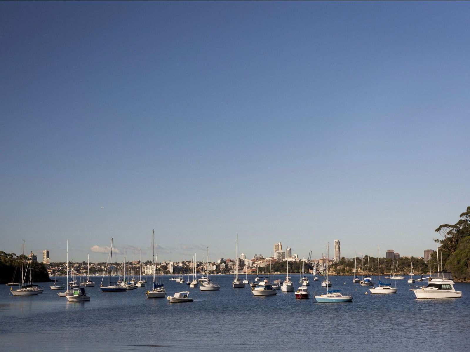  Tourism Brisbane