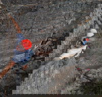Small-Group Weekend Rock Climbing Adventure from Katoomba - Tourism Brisbane