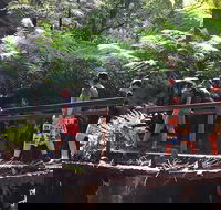 Glow Worm Tunnel Hike - Tourism Brisbane