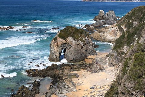 Narooma And Tilba Valley Private Tour - Tourism Brisbane 8