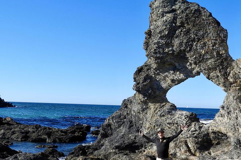 Narooma And Tilba Valley Private Tour - Tourism Brisbane 4