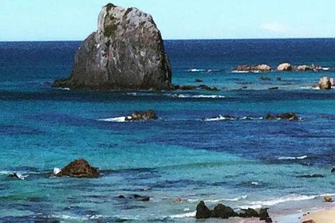 Narooma And Tilba Valley Private Tour - Tourism Brisbane 9