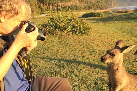 Highlights Of The Eurobodalla (half Day Private Tour) - Tourism Brisbane 2