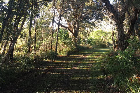 Coffs Harbour To Sawtell Bike Ride - Brisbane Tourism 7