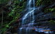 Blue Mountains Off The Beaten Track 4WD Day Adventure - thumb 5