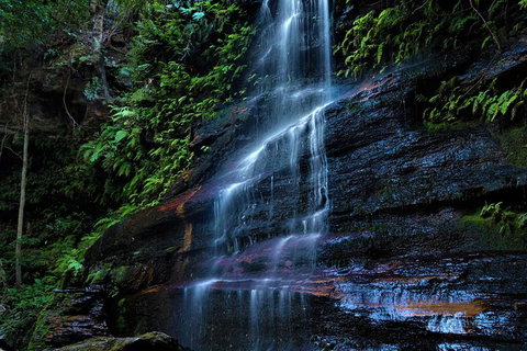 Blue Mountains Off The Beaten Track 4WD Day Adventure - Tourism Brisbane 5