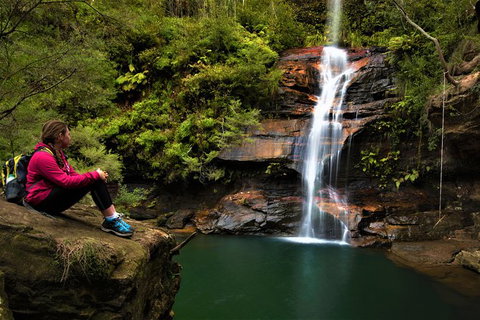 Blue Mountains Off The Beaten Track 4WD Day Adventure - Tourism Brisbane 1