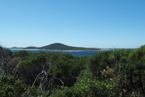 Boulder Bay Half Day Guided Walk - Brisbane 4u 6