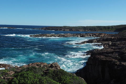 Boulder Bay Half Day Guided Walk - Brisbane 4u 3