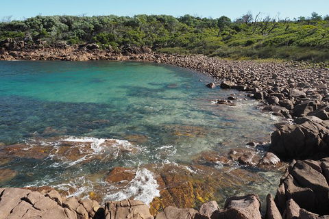 Boulder Bay Half Day Guided Walk - Brisbane 4u 2