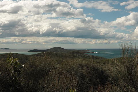 Boulder Bay Half Day Guided Walk - Brisbane 4u 1