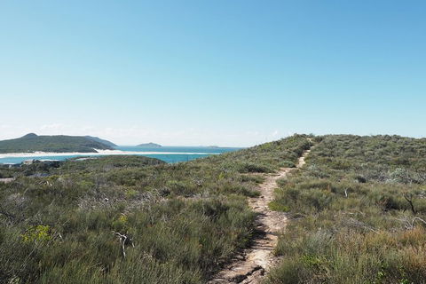 Boulder Bay Half Day Guided Walk - Brisbane 4u 0