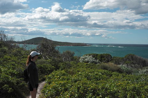 Boulder Bay Half Day Guided Walk - Brisbane 4u 5