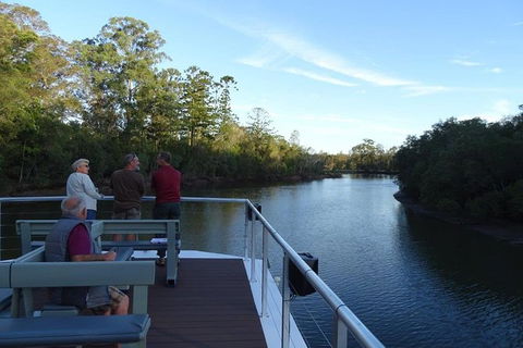 Sunset Eco Rainforest River Cruise - Tourism Brisbane 4
