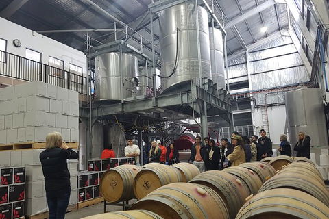 Hunter Valley Small Group Wine, Gin, Cheese & Chocolate Tour - Brisbane 4u 6