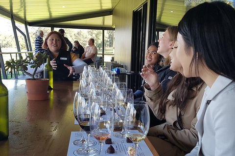 Hunter Valley Small Group Wine, Gin, Cheese & Chocolate Tour - Brisbane 4u 2