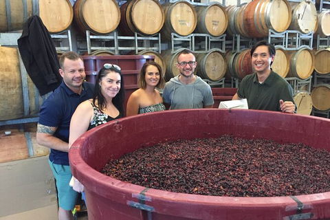 Hunter Valley Small Group Wine, Gin, Cheese & Chocolate Tour - Brisbane 4u 0