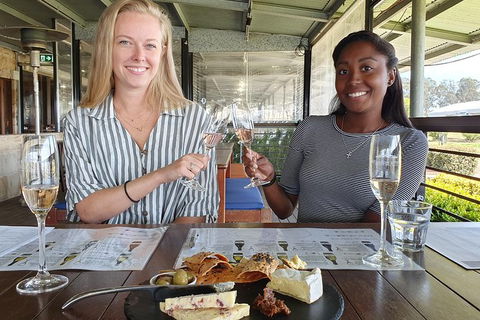 Hunter Valley Exclusive Kangaroo And Wine Tasting Experience - Brisbane 4u 7
