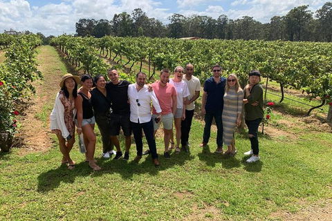 Hunter Valley Exclusive Kangaroo And Wine Tasting Experience - Brisbane 4u 6