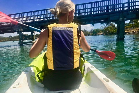 2-Hour Rental Kayak Double In Brunswick River - Tourism Brisbane 3