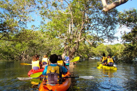 2-Hour Rental Kayak Double In Brunswick River - Tourism Brisbane 2