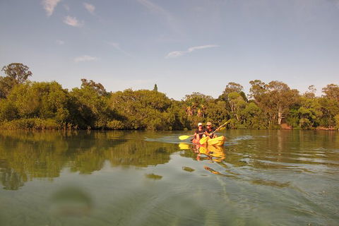 2-Hour Rental Kayak Double In Brunswick River - Tourism Brisbane 5