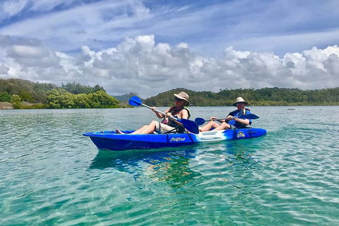 2-Hour Rental Kayak Double In Brunswick River - Tourism Brisbane 0