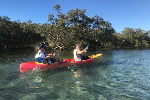 2-Hour Rental Kayak Double In Brunswick River - Tourism Brisbane 4