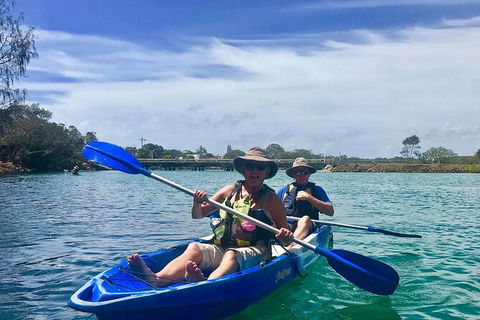 2-Hour Rental Kayak Double In Brunswick River - Tourism Brisbane 1
