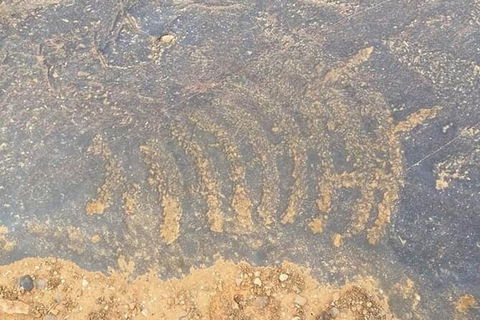 Aboriginal Rock Art - Tourism Brisbane 0