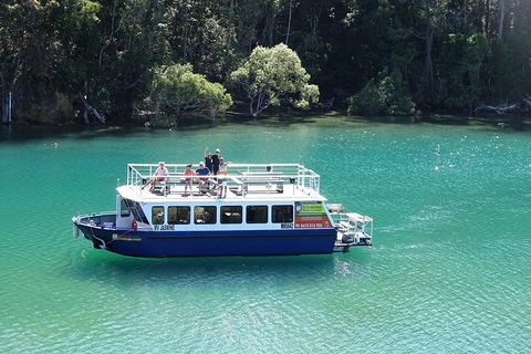 Byron Bay Rainforest Eco-Cruise - Tourism Brisbane 0