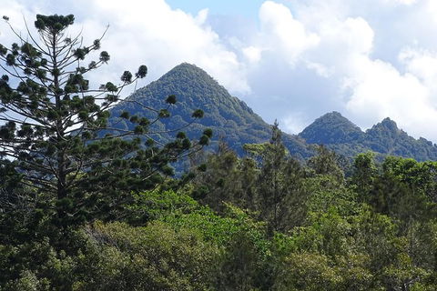 Byron Bay Rainforest Eco-Cruise - Tourism Brisbane 3