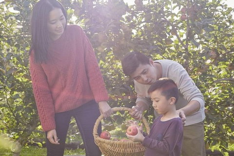 Blue Mountains Botanic Garden And Bilpin Tour From Katoomba With Cider Tasting - Brisbane Tourism 1