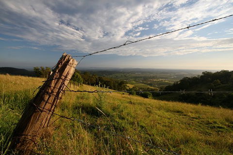 Private Full-Day Wine Tour In Hunter Valley - Brisbane Tourism 3