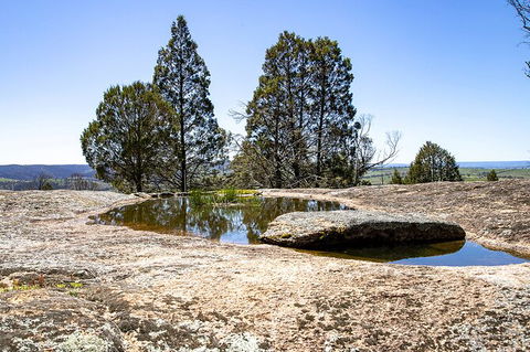 Bathurst Wine Trail Full-Day Private Tour With Tastings - Tourism Brisbane 5