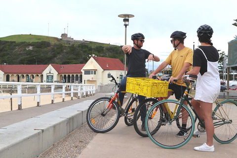 Newcastle Half-Day Bike Tour With Lunch - Brisbane 4u 3