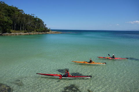 Half-Day Jervis Bay Sea Kayak Tour - Brisbane Tourism 3
