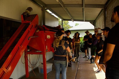 Pecan Farm Tour And Workshop, Byron Bay Hinterland - Brisbane Tourism 4