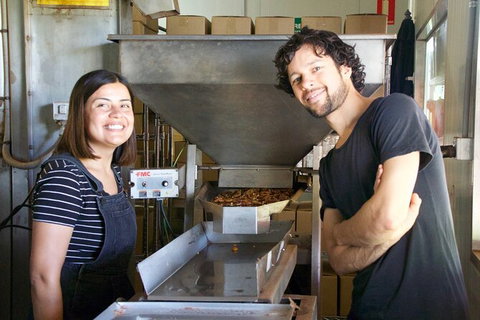 Pecan Farm Tour And Workshop, Byron Bay Hinterland - Brisbane Tourism 7