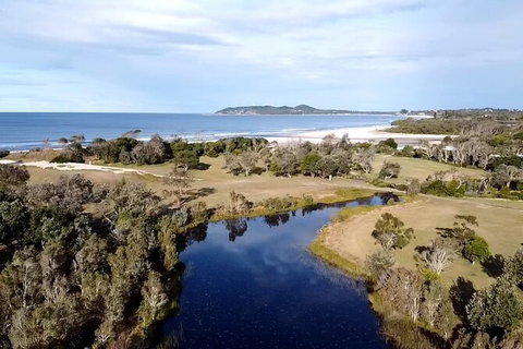 Pecan Farm Tour And Workshop, Byron Bay Hinterland - Brisbane Tourism 3
