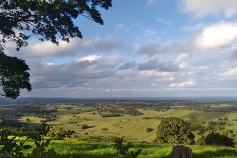 Pecan Farm Tour And Workshop, Byron Bay Hinterland - Brisbane Tourism 1