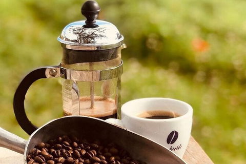 Coffee Farm Tour And Workshop, Byron Bay Hinterland - Brisbane Tourism 0