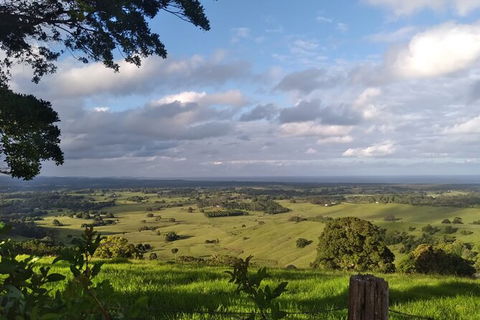 Coffee Farm Tour And Workshop, Byron Bay Hinterland - Brisbane Tourism 4